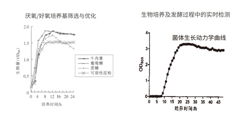 過程安全，結果精準